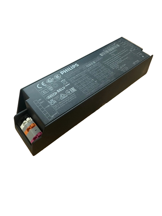 Philips 929002172406 Xi FP 22W 0.3-1.0A SNLDAE 230V S175 sXt -LED Retro