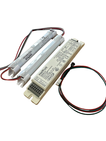 FXE06DL-55-KIT-6W 10-50V c/w 3.6V 10Ah 4 Cell Li-ion 2+2 Battery FXC3.6-10000-D300 - LED Retro