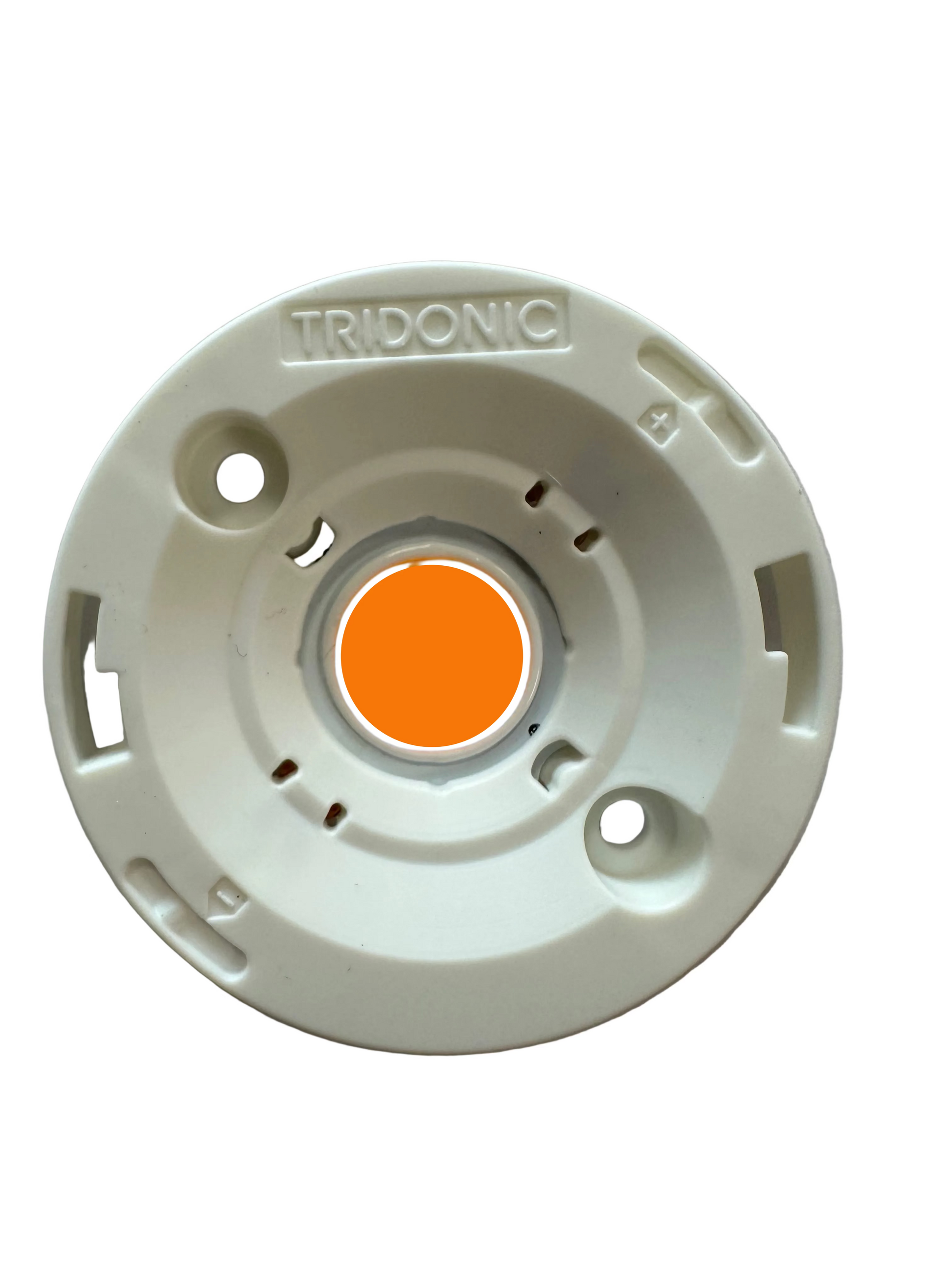 Tridonic 28004570 SLE 13mm 3000lm 830 H ADV8 - LED Retro