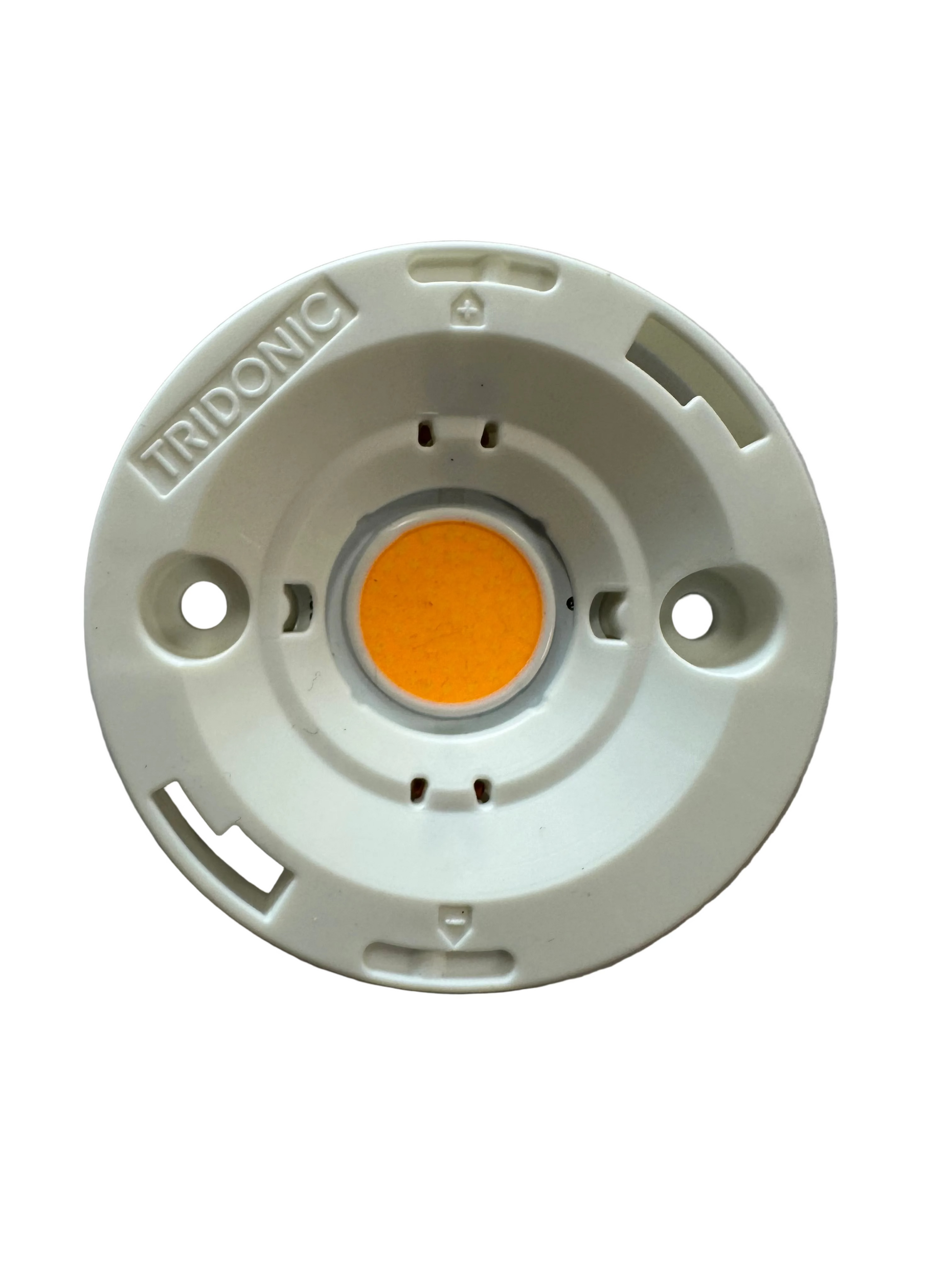 Tridonic 28004570 SLE 13mm 3000lm 830 H ADV8 - LED Retro