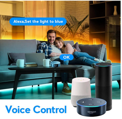 Skydance WT5 Smart Wireless 5 in 1 WiFi LED Controller, APP/Voice Control - LED Retro