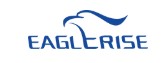 Eaglerise Logo - LED Retro